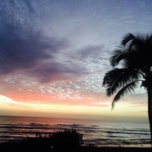 Meet your Posher, Dawn